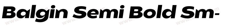 Balgin Semi Bold Sm字体转换 Balgin Semi Bold Sm字体转换